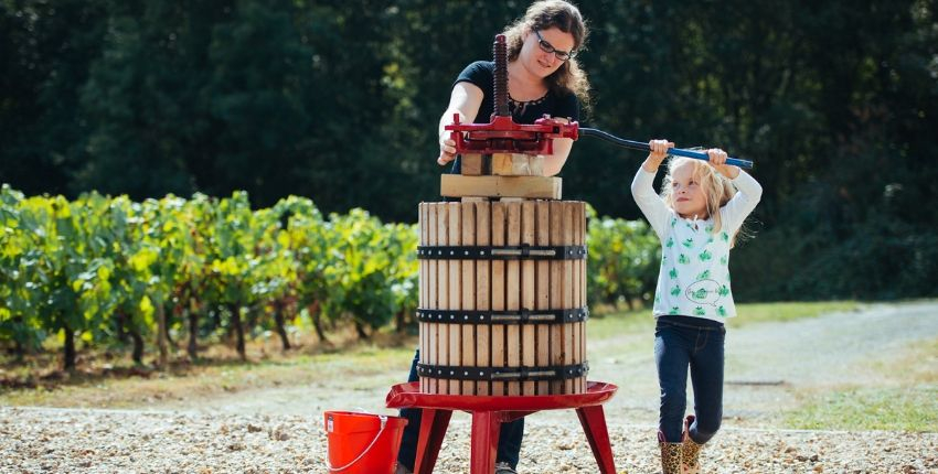 Vendanges en famille ou entre amis au Musée du Vignoble Nantais