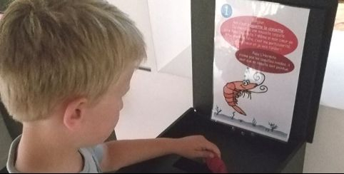 "Bernard, sors de ta coquille !", activité en autonomie au Musée des Marais Salants