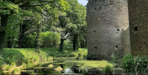 À la découverte du château, de sa faune et de sa flore; visite thématique en famille, dès 7 ans au Château Ranrouët, Herbignac