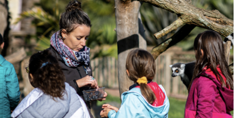 Stage découverte du parc et métier de soigneur animalier à Planète Sauvage