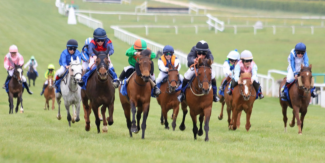 L'univers de la course de chevaux à l'Hippodrome de Pornichet