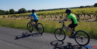 Le Vignoble à vélo : des boucles à faire en famille