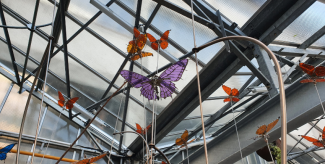 Nouveauté dans la Galerie des Machines : L'envol des papillons