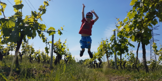 Le TOP des sorties en Pays du Vignoble Nantais